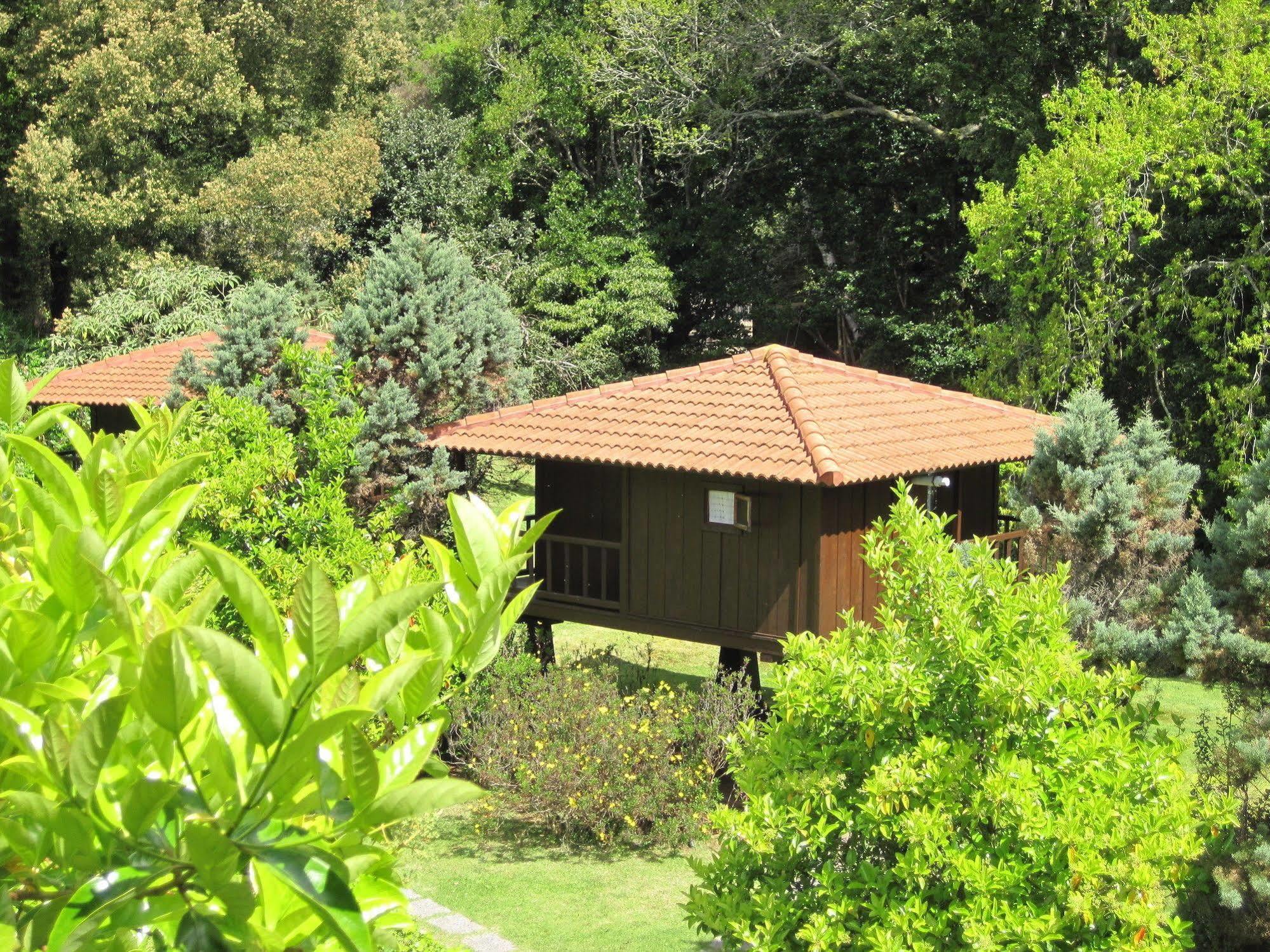 Quinta Das Eiras Santo Antonio da Serra Exterior photo